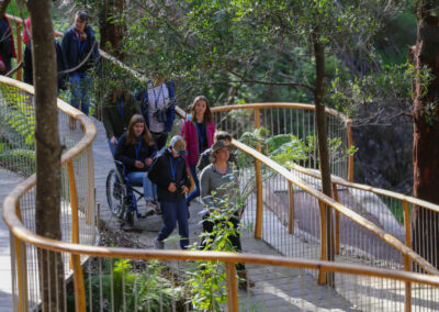 3 Day Sunset 12 Apostle and Otways Wildlife Wonders Tour