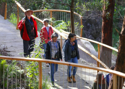 3 Day Sunset 12 Apostle and Otways Wildlife Wonders Tour