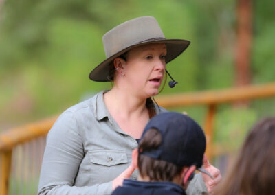 3 Day Sunset 12 Apostle and Otways Wildlife Wonders Tour