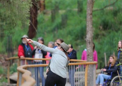 3 Day Sunset 12 Apostle and Otways Wildlife Wonders Tour