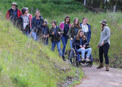 3 Day Sunset 12 Apostle and Otways Wildlife Wonders Tour