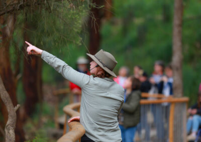 3 Day Sunset 12 Apostle and Otways Wildlife Wonders Tour