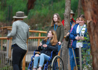 3 Day Sunset 12 Apostle and Otways Wildlife Wonders Tour