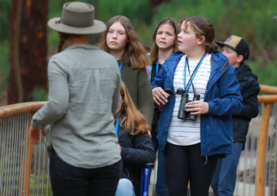 3 Day Sunset 12 Apostle and Otways Wildlife Wonders Tour