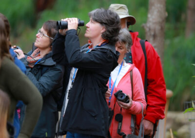 3 Day Sunset 12 Apostle and Otways Wildlife Wonders Tour