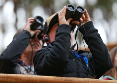 3 Day Sunset 12 Apostle and Otways Wildlife Wonders Tour