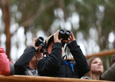 3 Day Sunset 12 Apostle and Otways Wildlife Wonders Tour