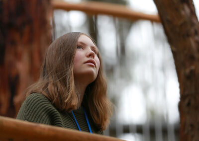 3 Day Sunset 12 Apostle and Otways Wildlife Wonders Tour