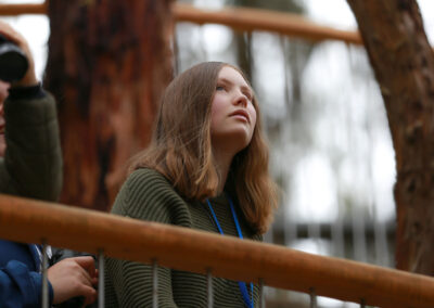 3 Day Sunset 12 Apostle and Otways Wildlife Wonders Tour