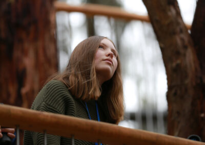 3 Day Sunset 12 Apostle and Otways Wildlife Wonders Tour