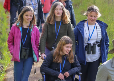 3 Day Sunset 12 Apostle and Otways Wildlife Wonders Tour