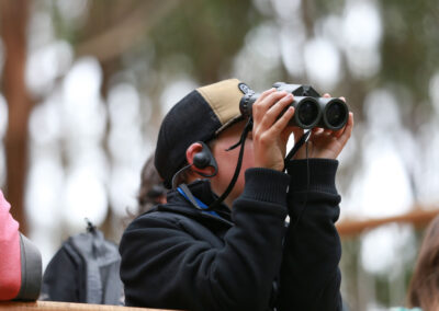 3 Day Sunset 12 Apostle and Otways Wildlife Wonders Tour