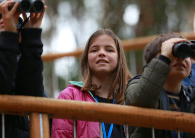 3 Day Sunset 12 Apostle and Otways Wildlife Wonders Tour