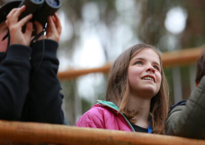 3 Day Sunset 12 Apostle and Otways Wildlife Wonders Tour