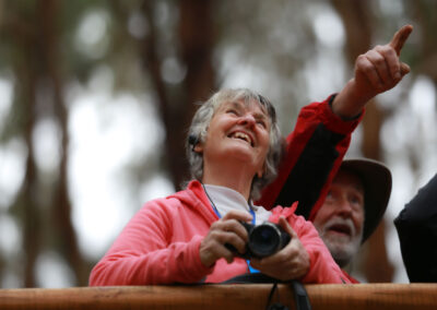 3 Day Sunset 12 Apostle and Otways Wildlife Wonders Tour