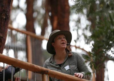 3 Day Sunset 12 Apostle and Otways Wildlife Wonders Tour