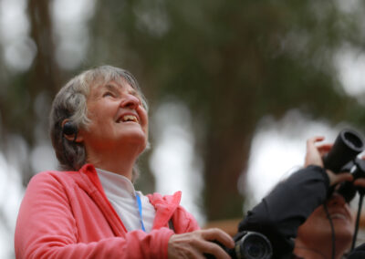 3 Day Sunset 12 Apostle and Otways Wildlife Wonders Tour