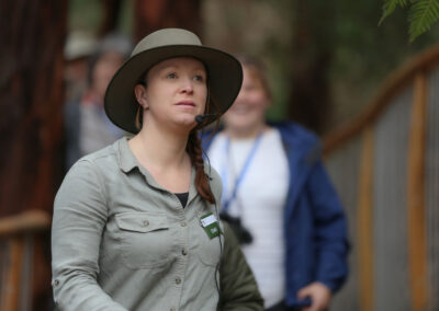 3 Day Sunset 12 Apostle and Otways Wildlife Wonders Tour