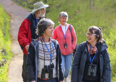 3 Day Sunset 12 Apostle and Otways Wildlife Wonders Tour