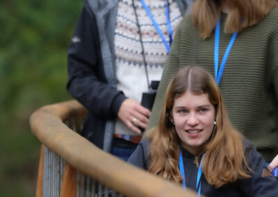 3 Day Sunset 12 Apostle and Otways Wildlife Wonders Tour