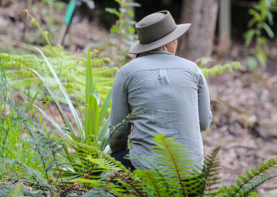 3 Day Sunset 12 Apostle and Otways Wildlife Wonders Tour