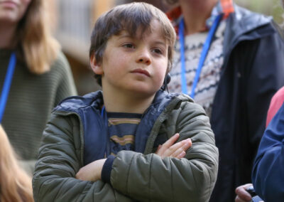 3 Day Sunset 12 Apostle and Otways Wildlife Wonders Tour