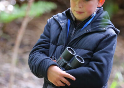 3 Day Sunset 12 Apostle and Otways Wildlife Wonders Tour