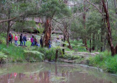 3 Day Sunset 12 Apostle and Otways Wildlife Wonders Tour