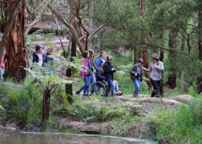 3 Day Sunset 12 Apostle and Otways Wildlife Wonders Tour