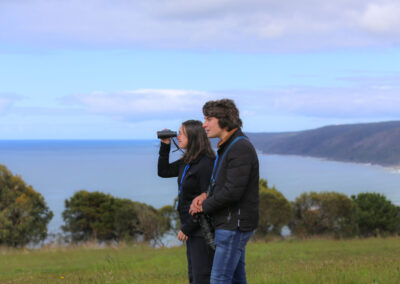 3 Day Sunset 12 Apostle and Otways Wildlife Wonders Tour