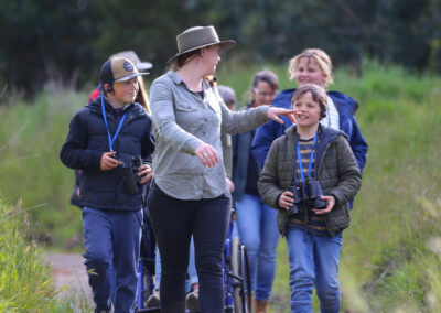 3 Day Sunset 12 Apostle and Otways Wildlife Wonders Tour