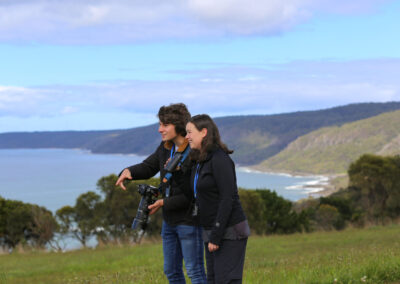 3 Day Sunset 12 Apostle and Otways Wildlife Wonders Tour