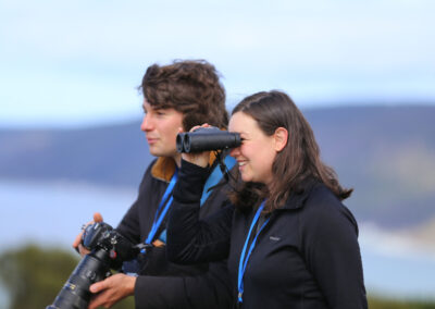 3 Day Sunset 12 Apostle and Otways Wildlife Wonders Tour