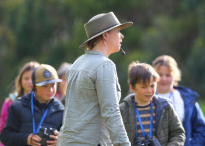 3 Day Sunset 12 Apostle and Otways Wildlife Wonders Tour