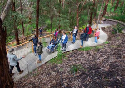 3 Day Sunset 12 Apostle and Otways Wildlife Wonders Tour
