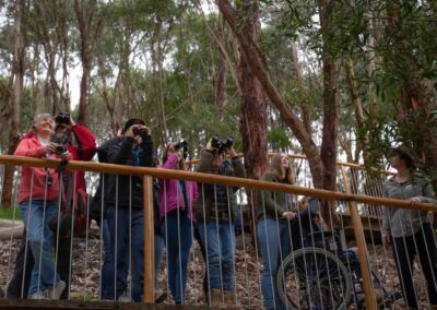 3 Day Sunset 12 Apostle and Otways Wildlife Wonders Tour