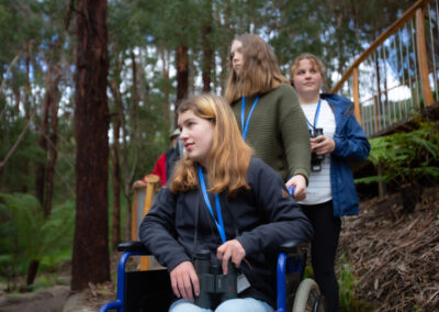 3 Day Sunset 12 Apostle and Otways Wildlife Wonders Tour