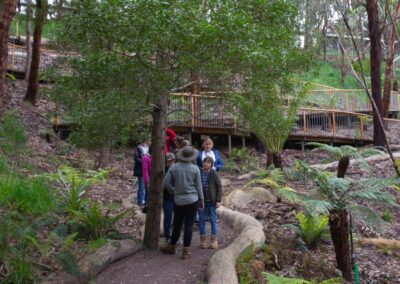 3 Day Sunset 12 Apostle and Otways Wildlife Wonders Tour