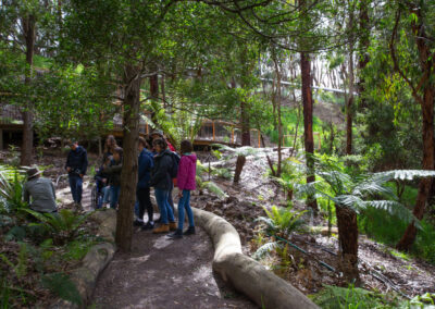 3 Day Sunset 12 Apostle and Otways Wildlife Wonders Tour