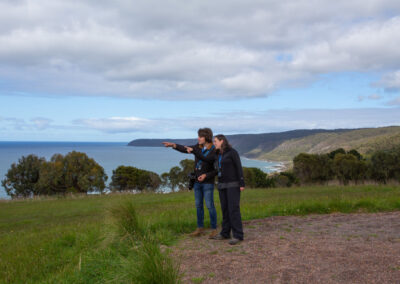 3 Day Sunset 12 Apostle and Otways Wildlife Wonders Tour