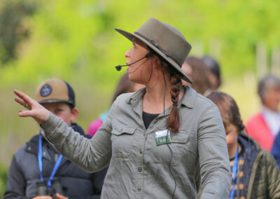 3 Day Sunset 12 Apostle and Otways Wildlife Wonders Tour