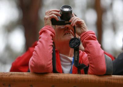 3 Day Sunset 12 Apostle and Otways Wildlife Wonders Tour