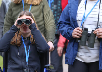 3 Day Sunset 12 Apostle and Otways Wildlife Wonders Tour