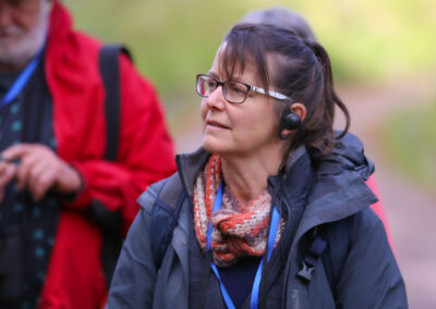 3 Day Sunset 12 Apostle and Otways Wildlife Wonders Tour