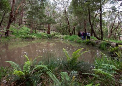 3 Day Sunset 12 Apostle and Otways Wildlife Wonders Tour