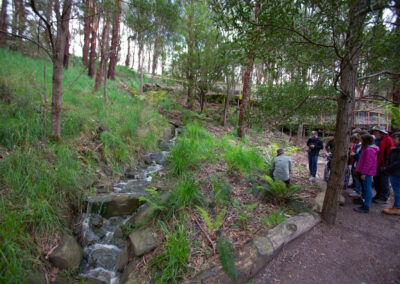 3 Day Sunset 12 Apostle and Otways Wildlife Wonders Tour