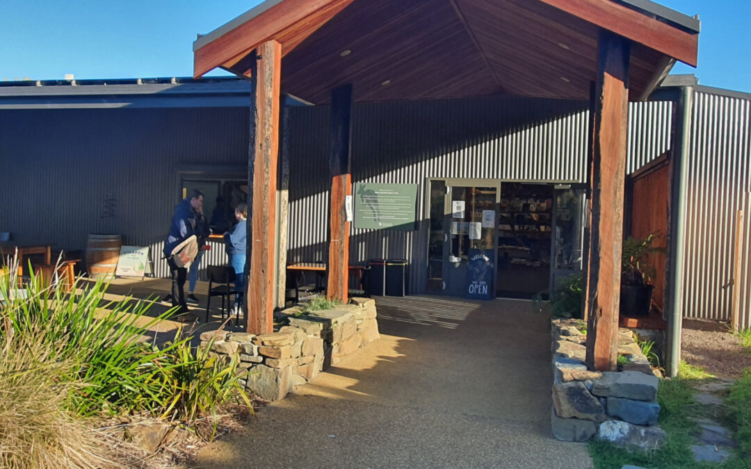 wildlife wonders in the Otway