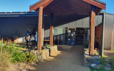 WildLife Wonders, A Walk on the Wild Side