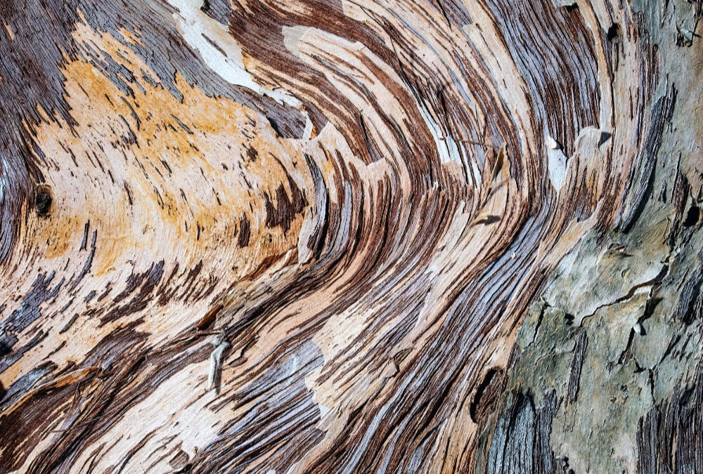 Indigenous Tourism in Victoria